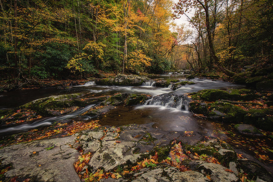 Fall in the Smokies Photograph by Robert J Wagner