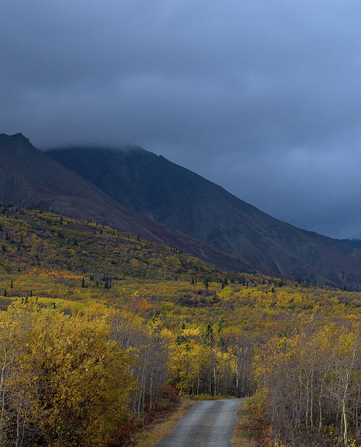 Fall In The Yukon 2018 Photograph