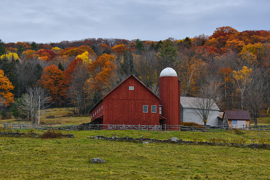 Fall in Vermont Photograph by Tricia Marchlik