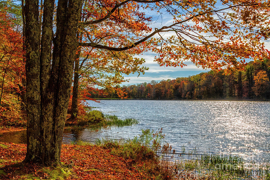 Fall in West Virginia Photograph by Teresa Jack - Fine Art America