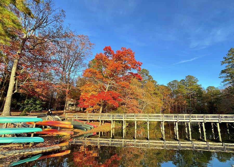 Fall in Williamsburg Photograph by Michael Descher