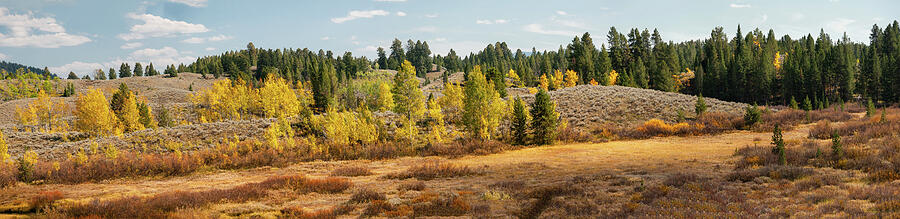 Fall in Yellowstone Pano Photograph by Roger Mullenhour
