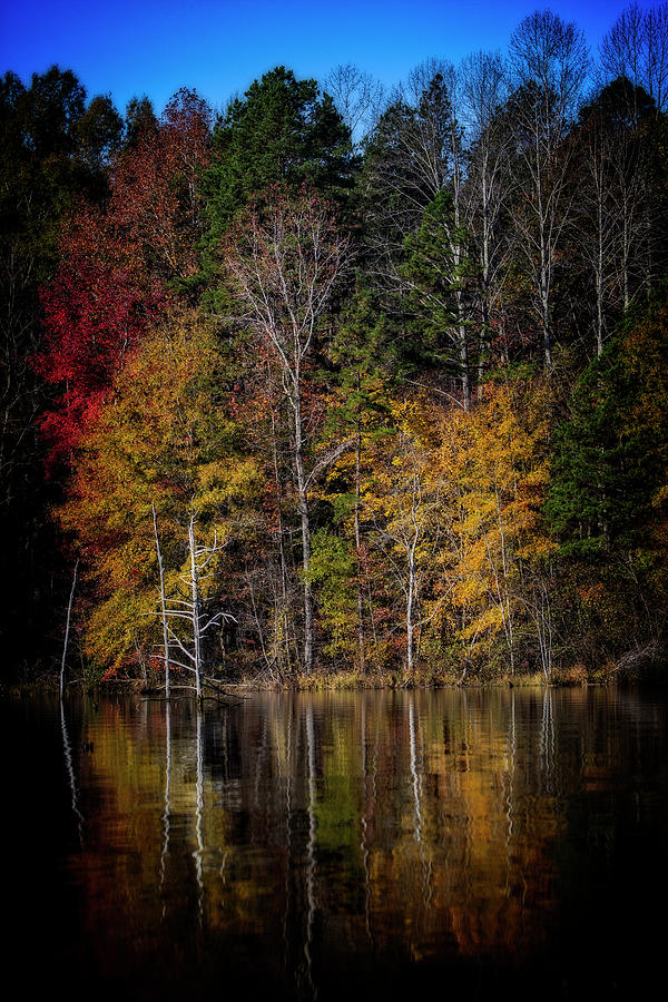 Fall Lake Colors Photograph by Alan Raasch
