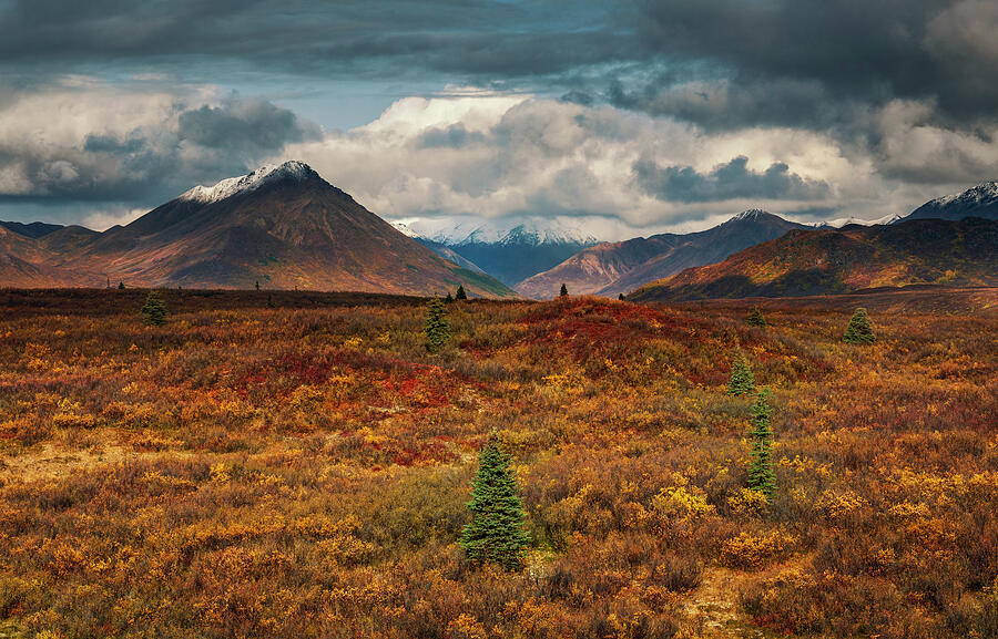 Fall Landscape Denali Highway Alaska Photograph by Dan Sproul Fall Landscape Denali Highway Alaska Photograph by Dan Sproul