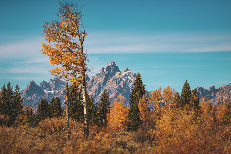 Fall Landscape Grand Teton National Park Photograph by Dan Sproul