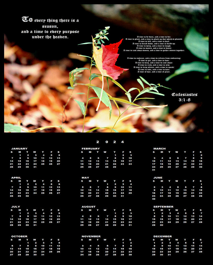Fall Leaf 2024 Scripture Calendar Single Page Photograph by Mike McBrayer