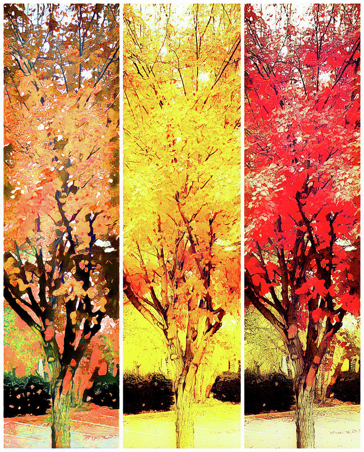 Fall Leaf Color Collage Mixed Media by Sharon Williams Eng