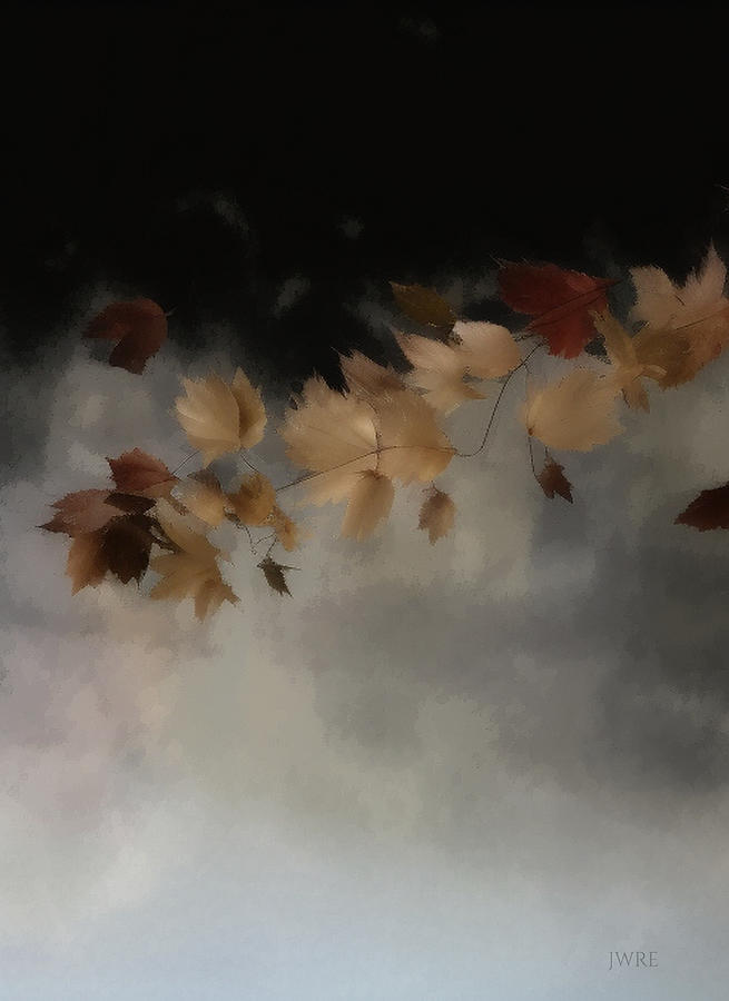 Fall Leaves 10 Digital Art by John Emmett