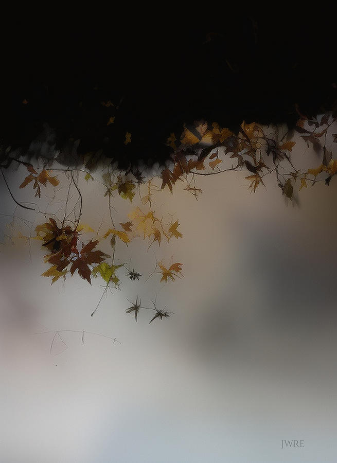 Fall Leaves 11 Digital Art by John Emmett