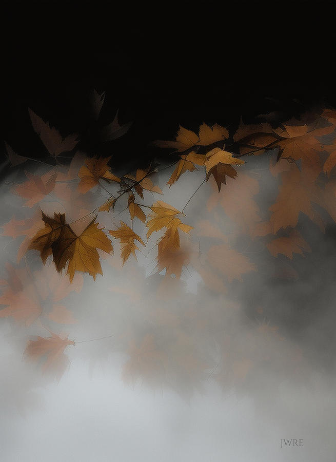 Fall Leaves 2 Digital Art by John Emmett