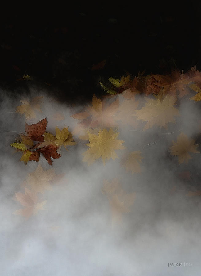 Fall Leaves 3 Digital Art by John Emmett