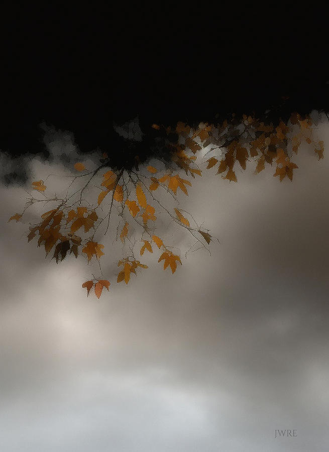Fall Leaves 4 Digital Art by John Emmett