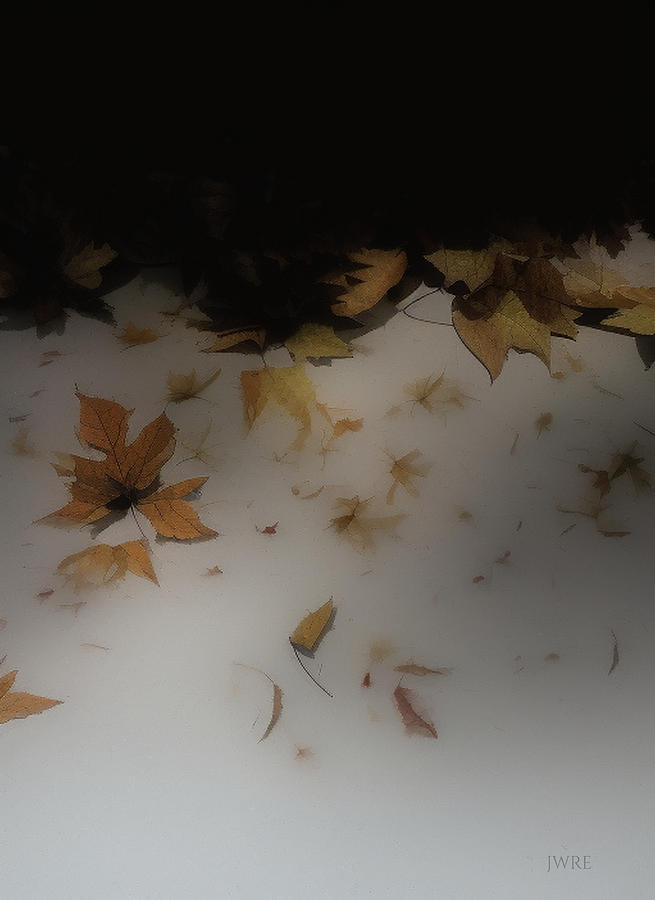Fall Leaves 6 Digital Art by John Emmett