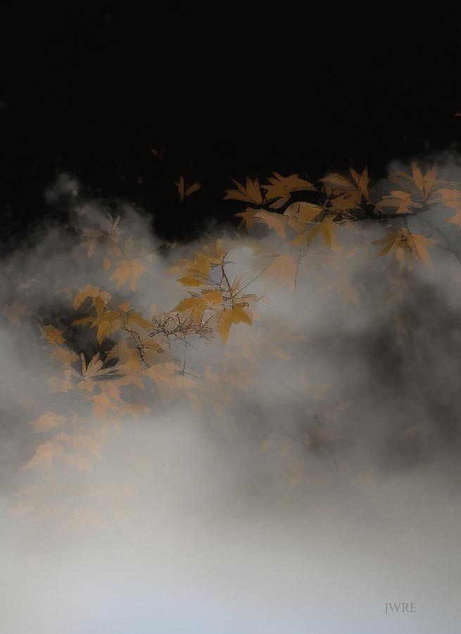 Fall Leaves 8 Digital Art by John Emmett