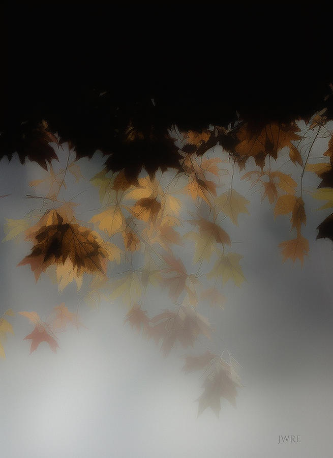 Fall Leaves 9 Digital Art by John Emmett