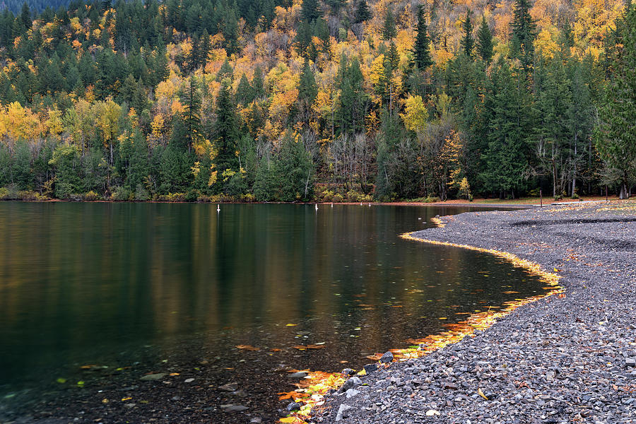 Fall Leaves at Cultus Lakes Maple Bay Photograph by Michael Russell