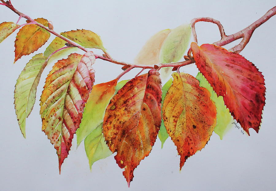 Tree Painting - Fall Leaves by Jelly Starnes