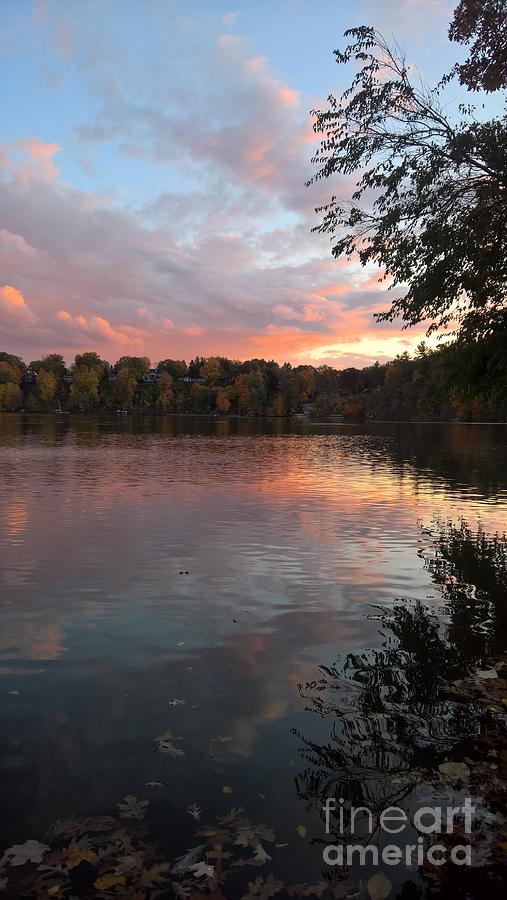 Fall Light on the Thornapple River  Photograph by Lisa Dionne
