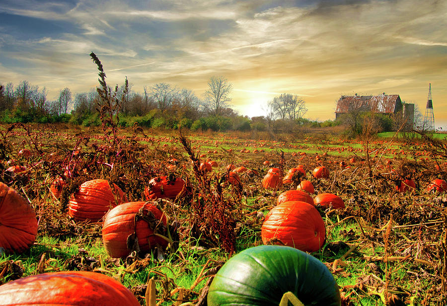 Fall Photograph - Fall Melons by Randall Branham