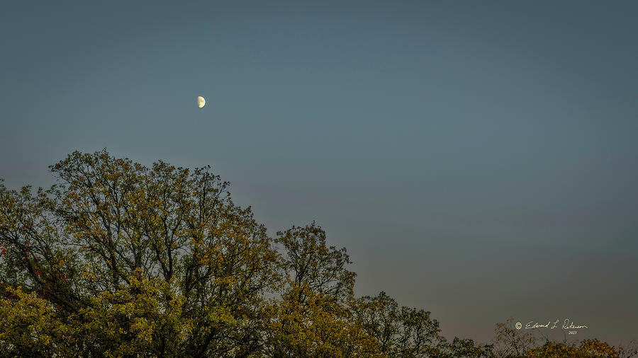 Fall Moon Photograph by Ed Peterson