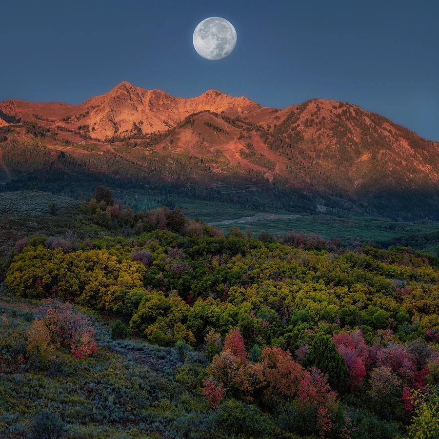 Fall Moon Photograph by Michael Ash