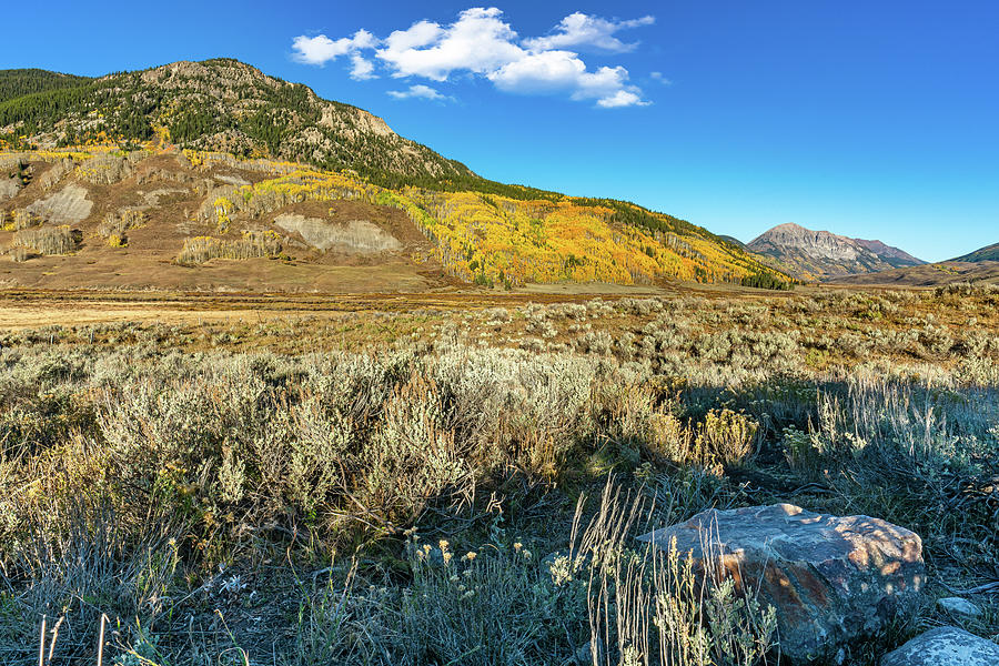 Fall Morning at Crested Butte Photograph by Ron Long Ltd Photography