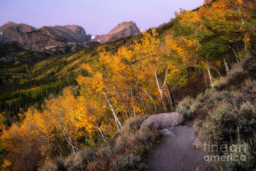 Fall Morning in Rocky Mountain national Park Photograph by Ronda Kimbrow