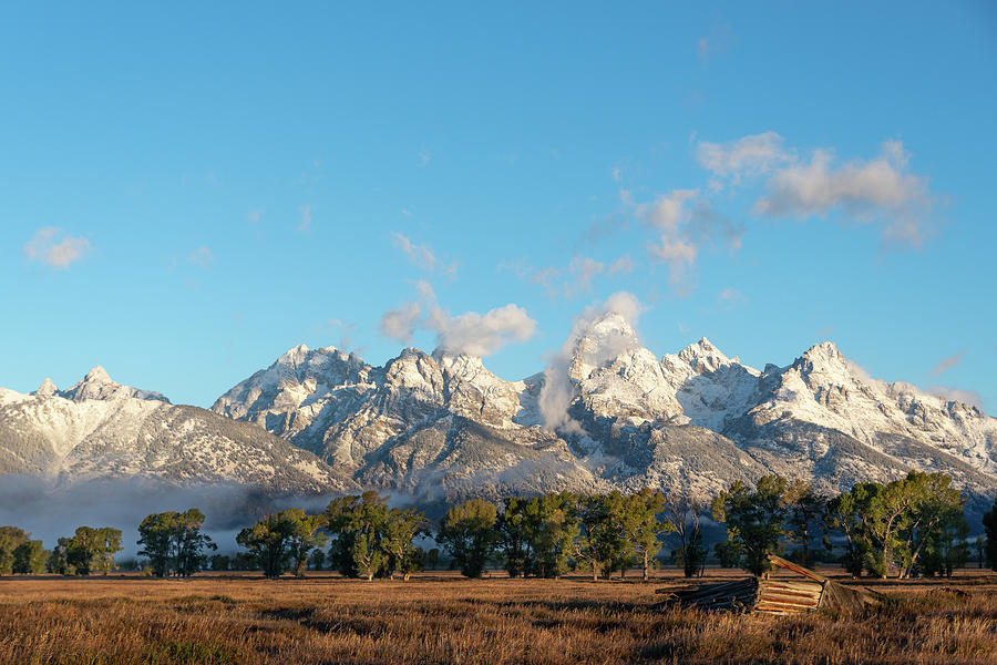 Fall Morning in the Tetons Photograph by Mary Hone