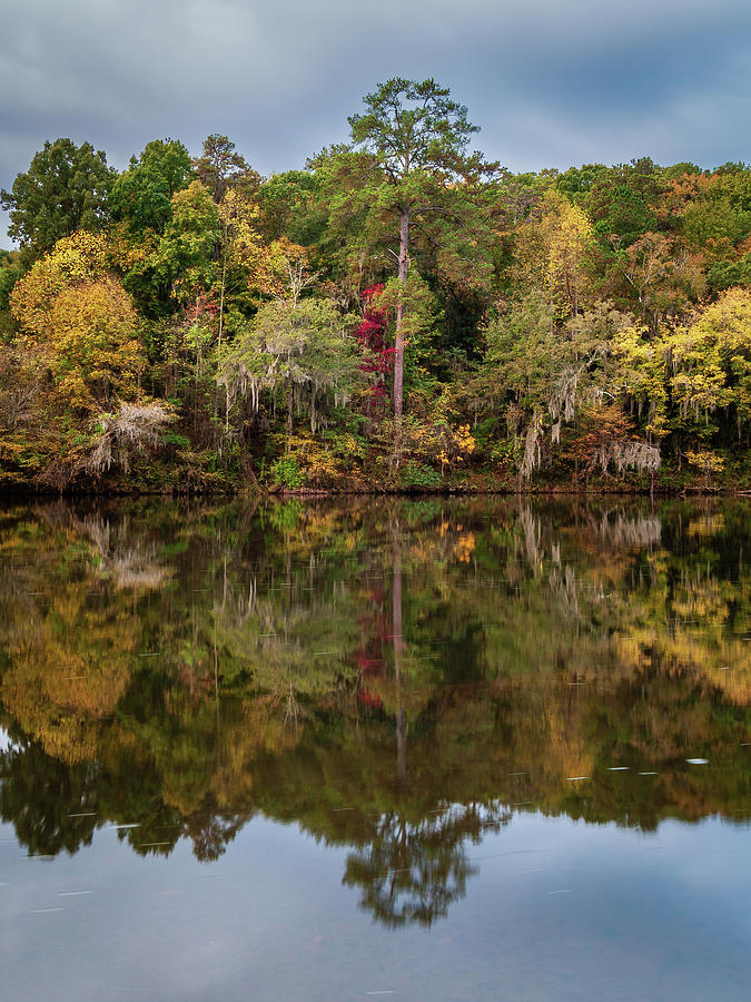 Fall Morning On The Saluda River-3 Photograph by Charles Hite