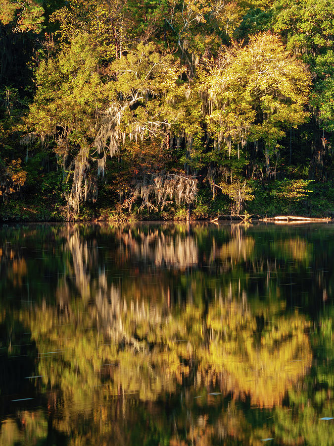 Fall Morning On The Saluda River-4 Photograph by Charles Hite