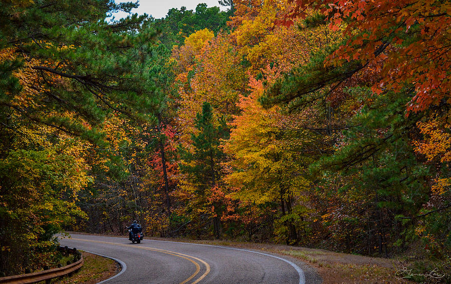 Fall Motorcycle Ride Photograph by Gene Lee