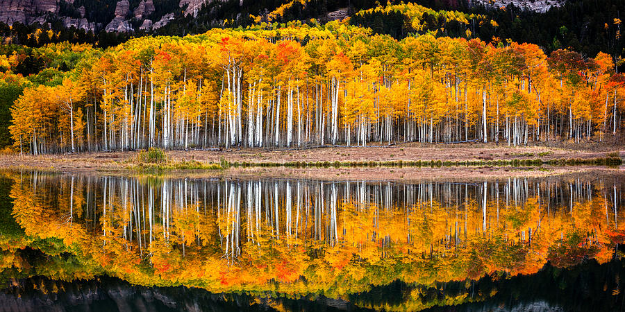 Fall n Colors  Photograph by Ryan Smith