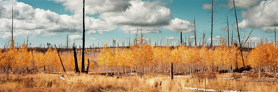 Fall, North Rim, Grand Canyon Photograph by Eugene Nikiforov