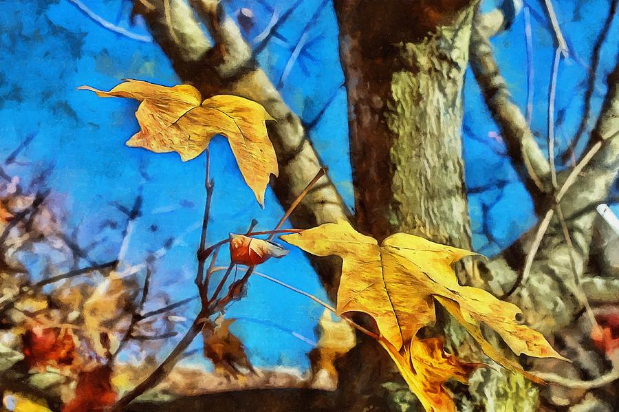Fall Oak Leaves Mixed Media by Christopher Reed