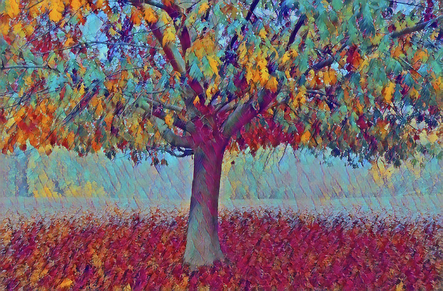 Fall Oak Tree Abstract   Photograph by Marilyn MacCrakin