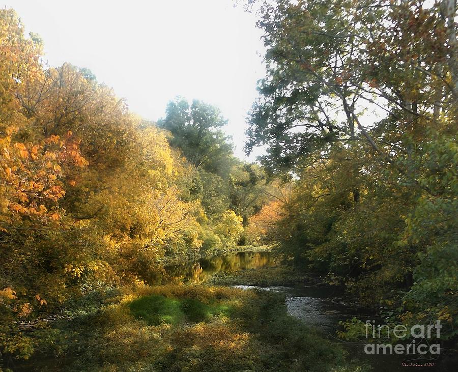 Fall on Clear Creek Photograph by David Neace