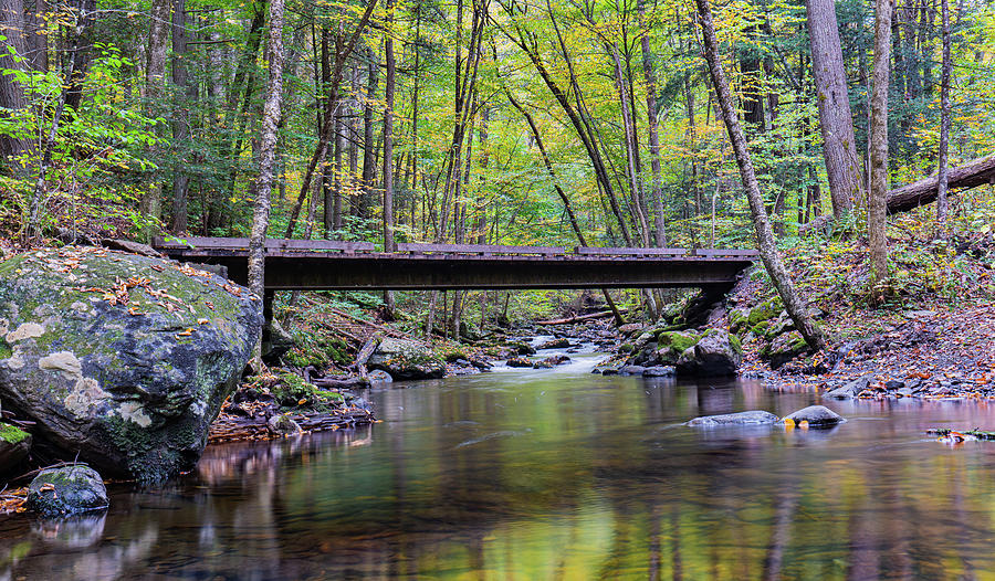 Fall on Hornbecks Creek Photograph by Ron Long Ltd Photography