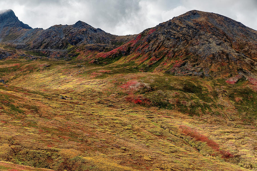Fall on the Alaskan Tundra of Hatcher Pass in the Talkeetna Moun Photograph by Doug Holck