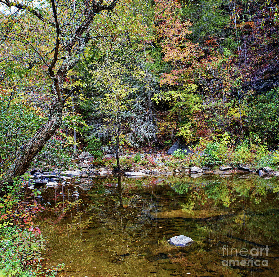 Fall On The Creek Photograph by Paul Mashburn