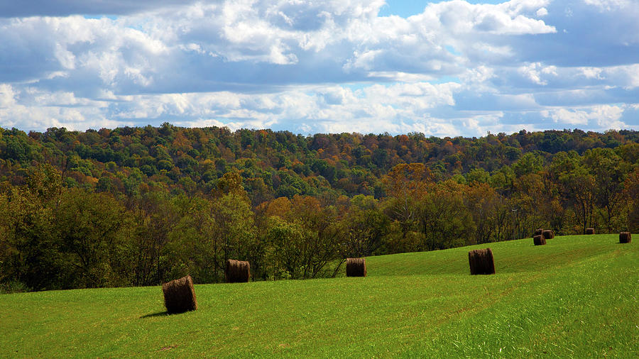 Fall on the Farmland Photograph by Gina Fitzhugh