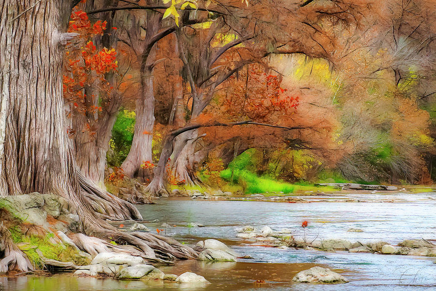Fall on the Guadalupe Photograph by Cheri Freeman