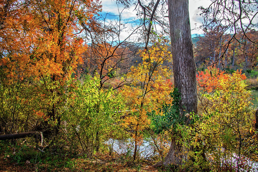Fall on the Guadalupe in Ingram Photograph by Lynn Bauer