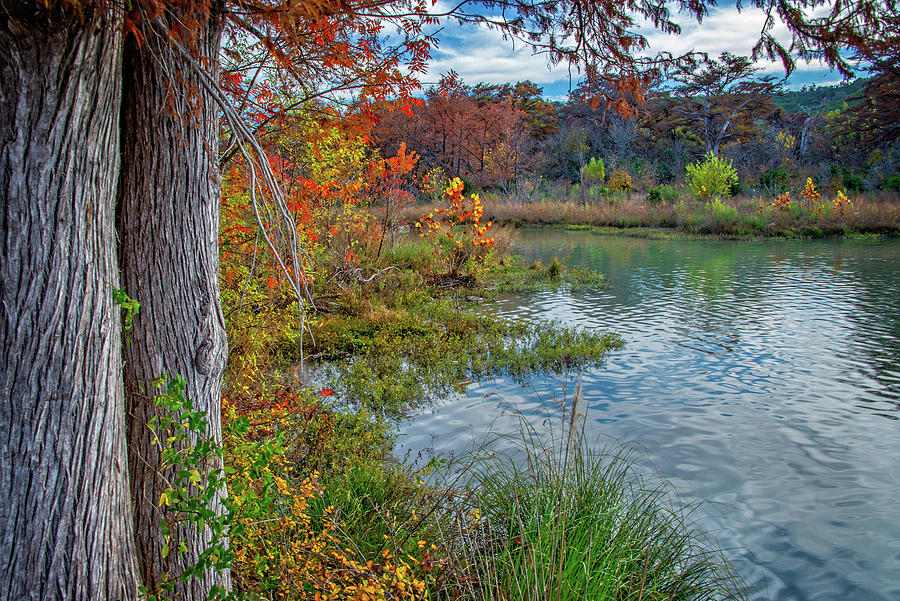 Fall on the Guadalupe in Kerrville Photograph by Lynn Bauer