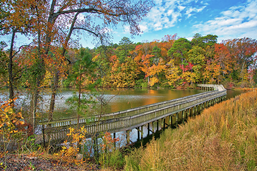Fall on the Noland Trail Photograph by Jerry Gammon