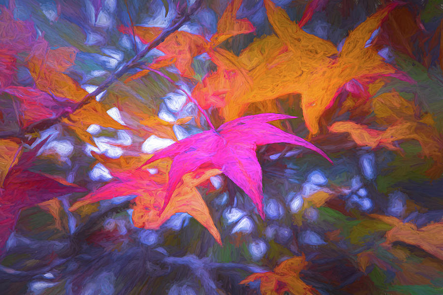 Fall Painted Photograph by John Kirkland