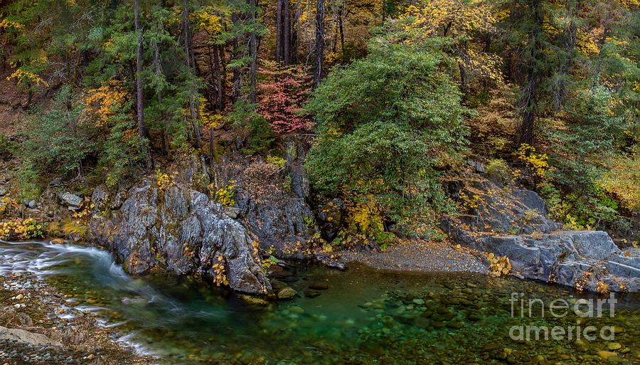 Fall Panorama of the North Yuba River Photograph by Leslie Wells