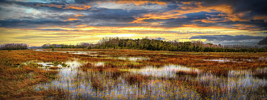 Fall Panorama Overlooking the Marsh Photograph by Debra and Dave Vanderlaan