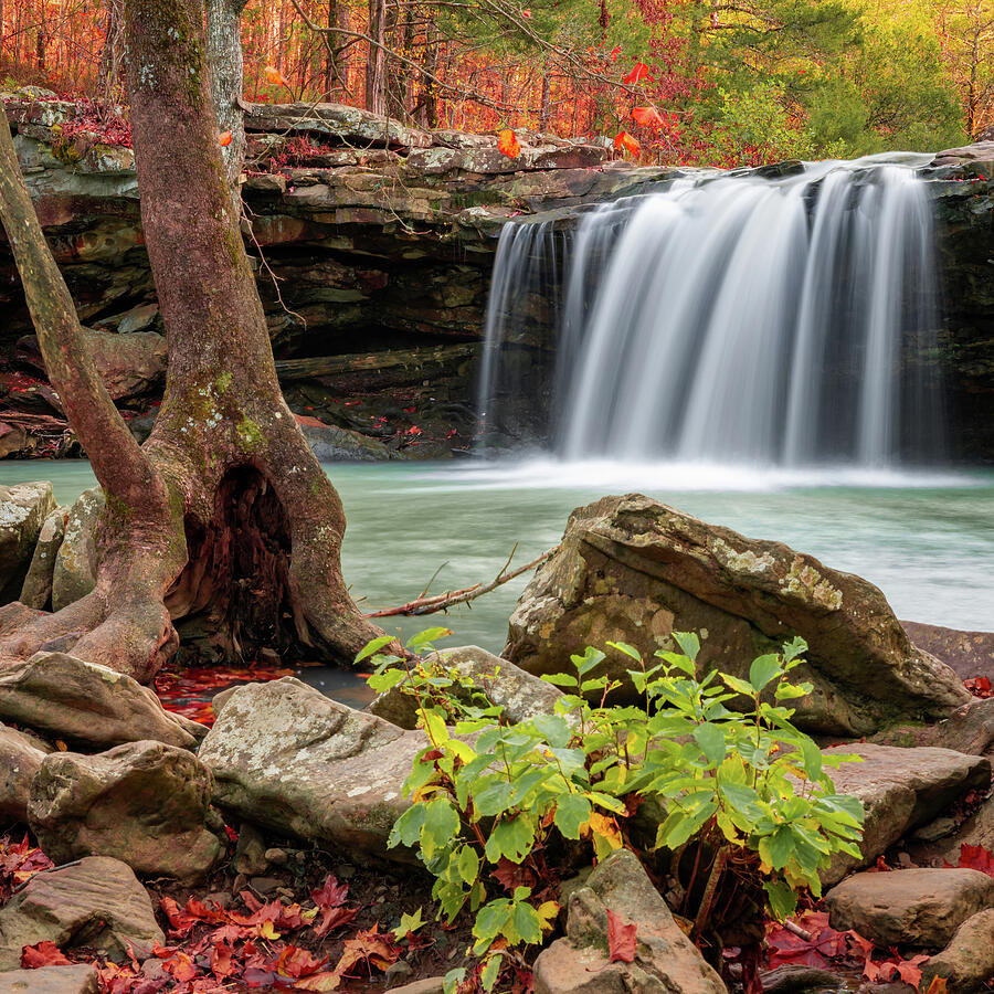 Fall Perfection At Falling Water Falls Photograph by Gregory Ballos