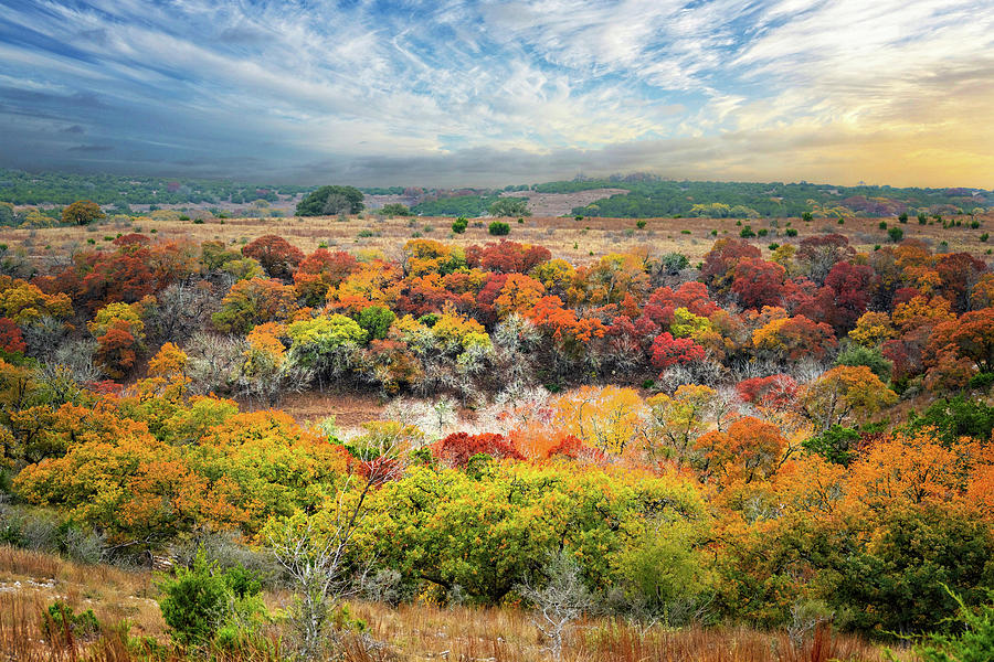 Fall Perfection in the Hill Country Photograph by Lynn Bauer