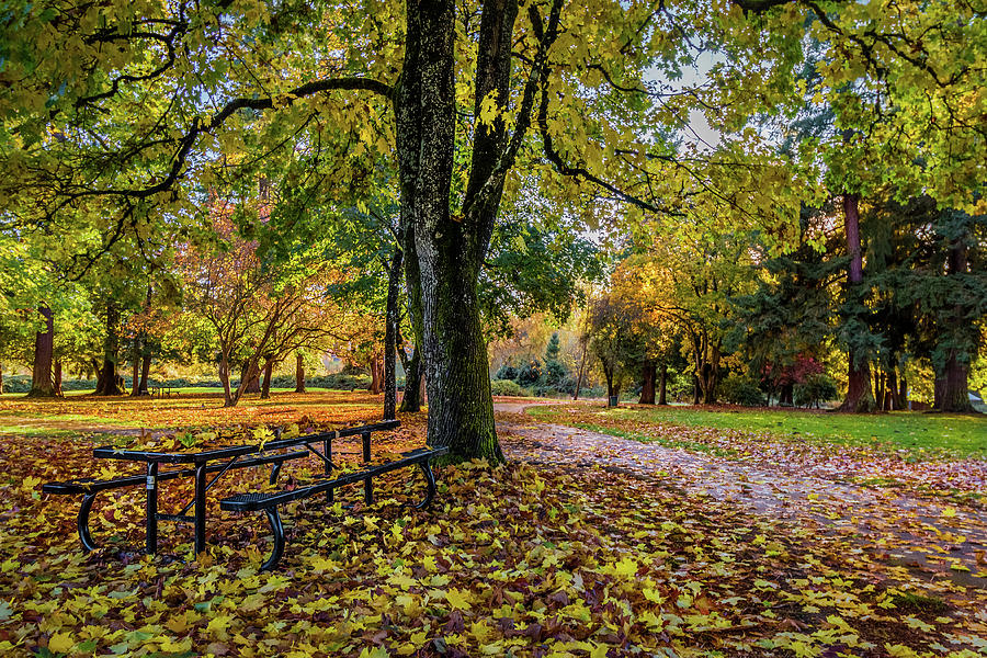 Fall Picnic Photograph by Cindy Shebley Fall Picnic Photograph by Cindy Shebley